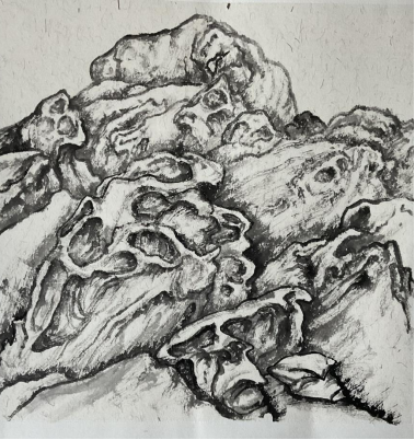 1760501552845336.png image.png