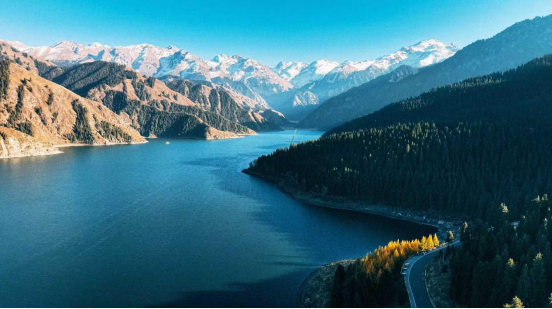 1761192518162597.png image.png